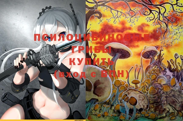 винт Алексин